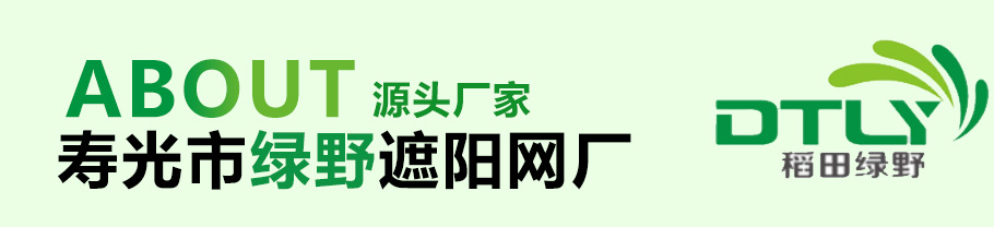 鑫迎公司介紹